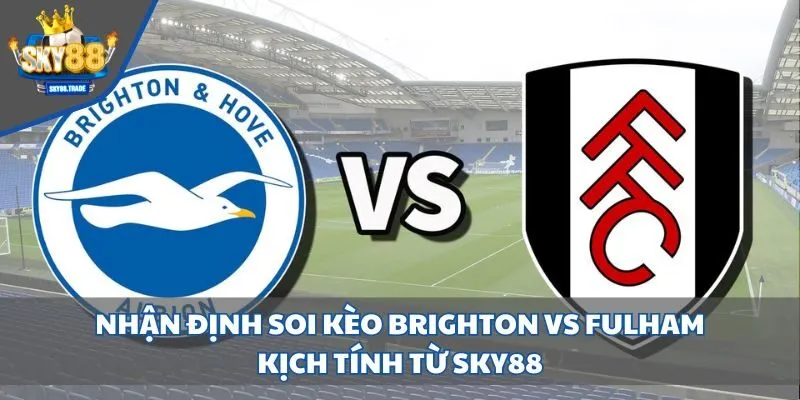 nhận định soi kèo Brighton vs Fulham