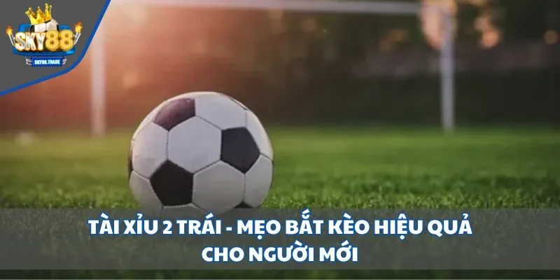 Tài xỉu 2 trái